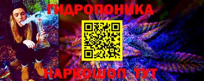 мяу мяу мука Лесосибирск
