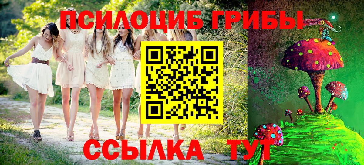 Псилоцибиновые грибы ЛСД Железногорск